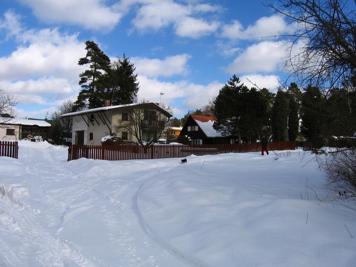 161.jpg